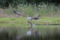 20140714 SCHOTTLAND 17-50-47 032
