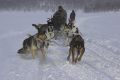 2007-02-21 18 VILHELMINA HUSKY EXPRESS