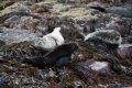 20140717 SCHOTTLAND 12-46-31 031