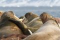 20150708 SVALBARD 22-29-46 97