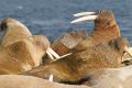 20150708 SVALBARD 22-37-04 106