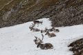 20150713 SVALBARD 17-25-47 35