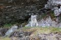 20150714 SVALBARD 01-01-51 26