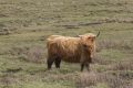 20160505 SCHOTTLAND 15-06-28 015