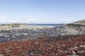 Ardnamurchan, Schottland Ardnamurchan, Schottland