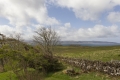 Ardnamurchan, Schottland Ardnamurchan, Schottland