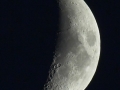Mond