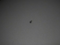 2006-09-10-1-sonnenflecken