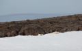 20150709 SVALBARD 16-10-48 33