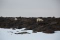 20150709 SVALBARD 20-55-38 36