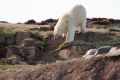 20150711 SVALBARD 12-16-47 37