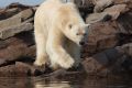 20150711 SVALBARD 12-19-30 56