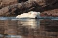 20150711 SVALBARD 12-19-38 59