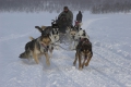 Husky-express Husky-express