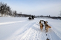 Husky-express Husky-express