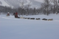 Husky-express Husky-express