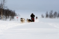 Husky-express mit mir am Steuer Husky-express mit mir am Steuer