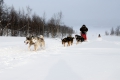 Husky-express mit mir am Steuer Husky-express mit mir am Steuer