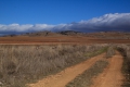 2009-02-04-042-laguna-de-gallocanta