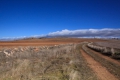 2009-02-04-048-laguna-de-gallocanta