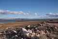 2009-02-04-066-laguna-de-gallocanta