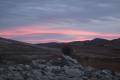 2009-02-05-002-laguna-de-gallocanta