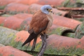 2009-04-14-013-extremadura