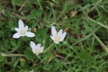 2009-04-14-023-extremadura