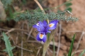 2009-04-14-024-extremadura