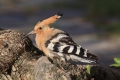 2009-04-15-005-extremadura