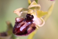 2009-04-17-007-extremadura