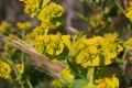 2009-04-17-009-extremadura