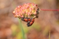 2009-04-17-012-extremadura