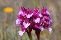 2009-04-17-013-extremadura