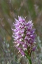 2009-04-17-015-extremadura