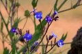 2009-04-17-018-extremadura