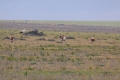 2009-04-18-009-extremadura