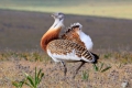 2009-04-18-014-extremadura