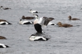 2011-02-26-10-norwegen