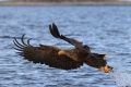2011-02-27-037-norwegen