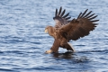 2011-02-27-082-norwegen