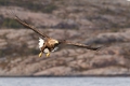 2011-02-27-106-norwegen