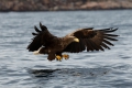 2011-02-27-110-norwegen