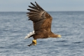 2011-02-27-116-norwegen