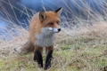 2011-02-27-166-norwegen