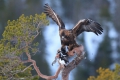 2011-02-28-023-norwegen