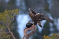 2011-02-28-027-norwegen
