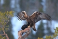 2011-02-28-033-norwegen