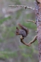 2011-03-02-034-norwegen