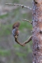 2011-03-02-044-norwegen